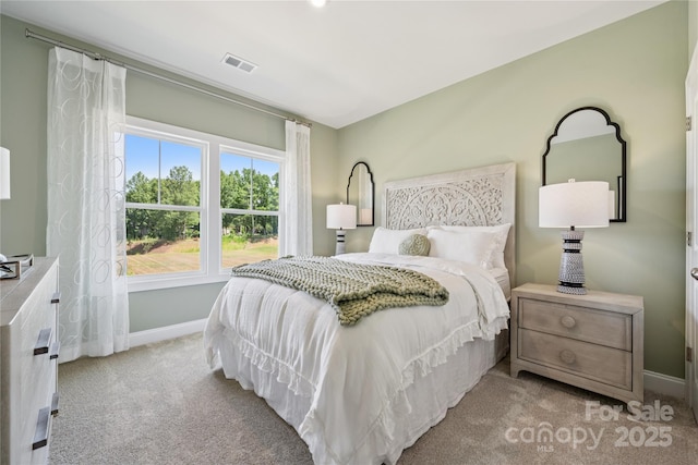 424 Balboa St, Matthews, NC 28104 - carpeted bedroom with baseboards