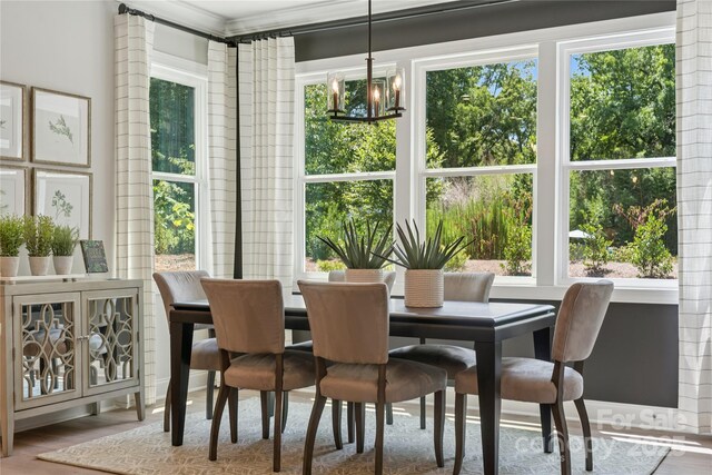 424 Balboa St, Matthews, NC 28104 - dining room with healthy amount of natural light, a chandelier, and wood finished floors