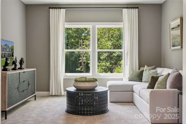 424 Balboa St, Matthews, NC 28104 - living area featuring carpet floors