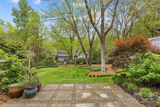 2418 Ainsdale Rd, Charlotte, NC 28226 - view of grassy yard