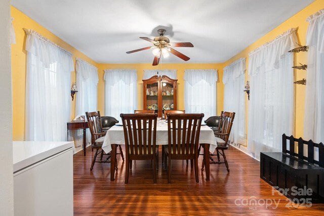 dining area featuring a ceiling fan, wood finished floors, and a wealth of natural light
