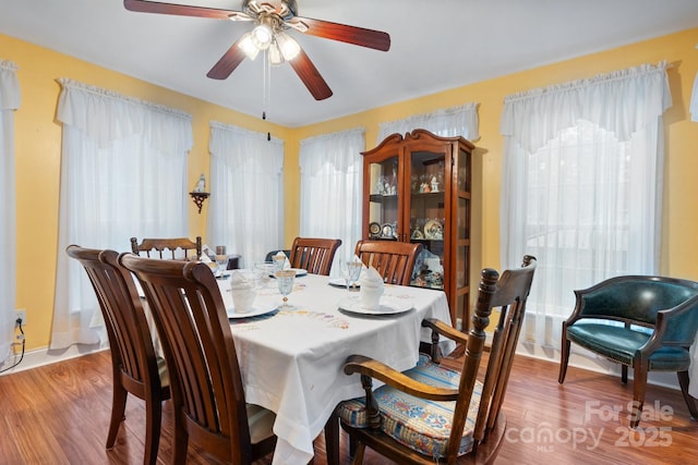 dining area featuring a ceiling fan, wood finished floors, and a wealth of natural light