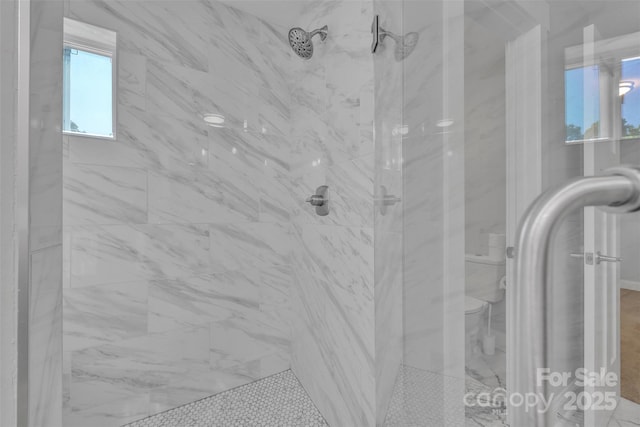 details featuring toilet and a marble finish shower