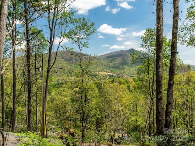 property view of mountains featuring a forest view