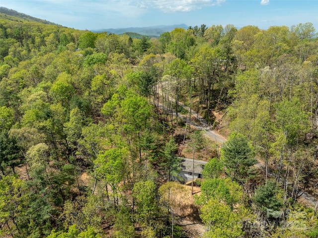 aerial view with a forest view