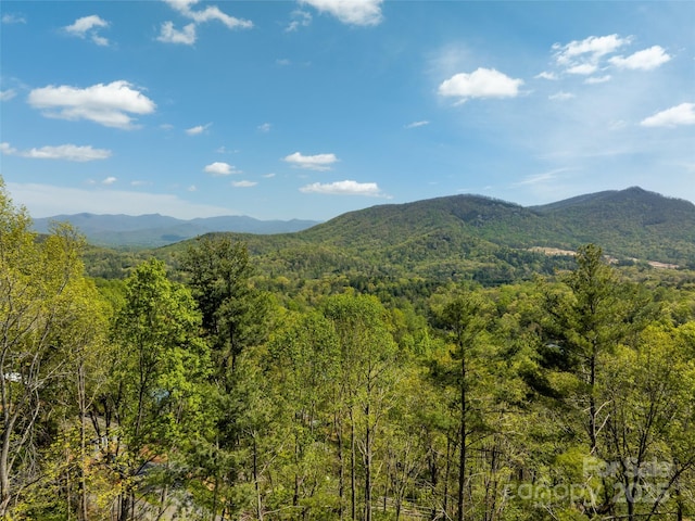 view of mountain feature with a wooded view