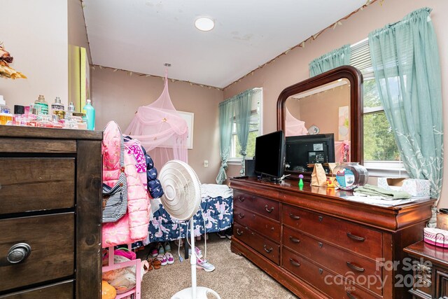 3603 Ken Mcentire Rd, Lawndale, NC 28090 - carpeted bedroom featuring multiple windows