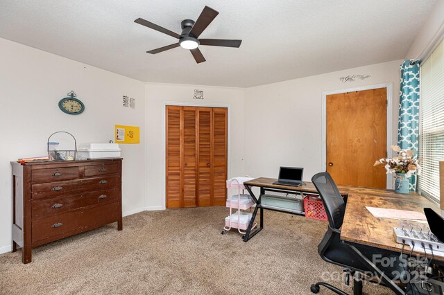 3603 Ken Mcentire Rd, Lawndale, NC 28090 - office area featuring ceiling fan and light carpet