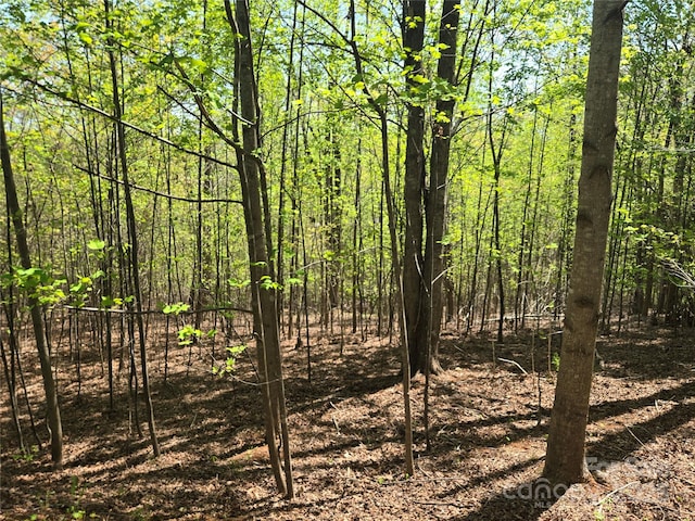 LOT14 Back Hollow Dr, Lake Lure, NC 28746