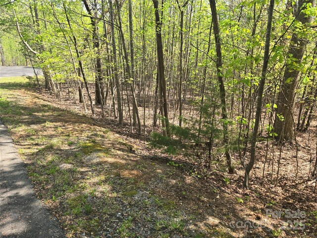 LOT14 Back Hollow Dr, Lake Lure, NC 28746