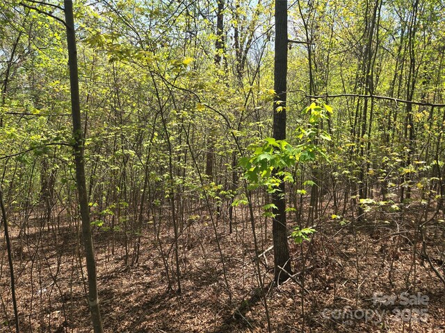 LOT14 Back Hollow Dr, Lake Lure, NC 28746