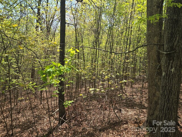 LOT14 Back Hollow Dr, Lake Lure, NC 28746