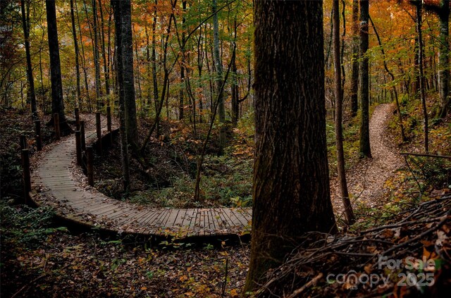 LOT14 Back Hollow Dr, Lake Lure, NC 28746