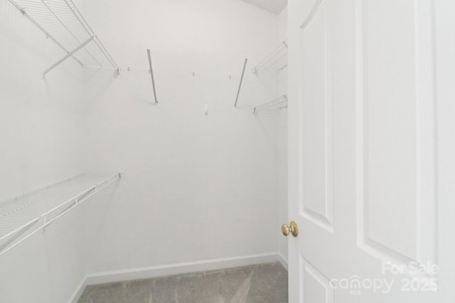 walk in closet featuring light carpet