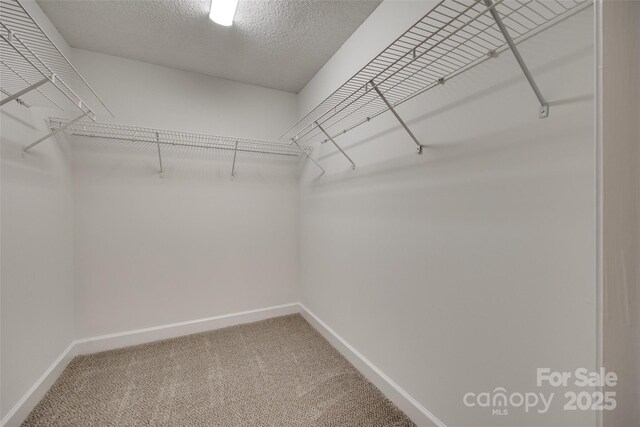 605 Summey Farm Dr, Dallas, NC 28034 - photo 19