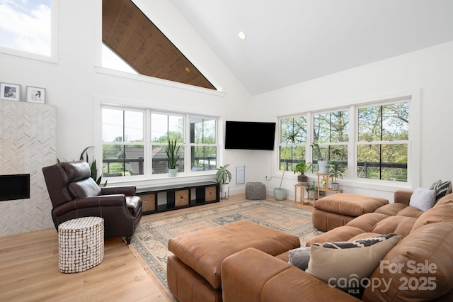 103 Pennsylvania Ave, Asheville, NC 28806 - living room featuring high vaulted ceiling and wood finished floors
