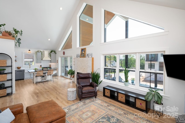 103 Pennsylvania Ave, Asheville, NC 28806 - living room with high vaulted ceiling, light wood-type flooring, and plenty of natural light