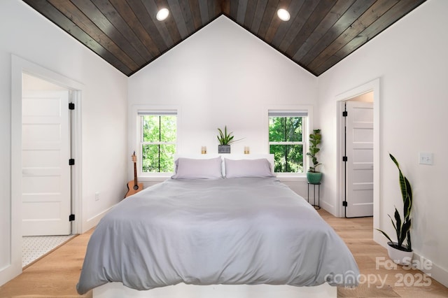 103 Pennsylvania Ave, Asheville, NC 28806 - bedroom with recessed lighting, lofted ceiling, light wood-style floors, multiple windows, and baseboards