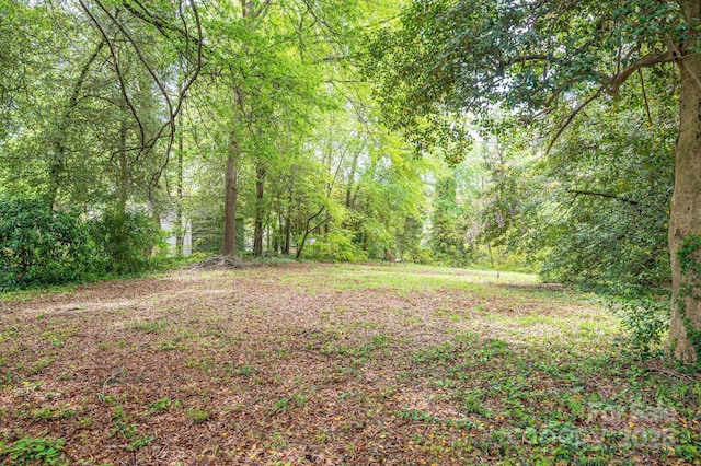 view of yard featuring a forest view