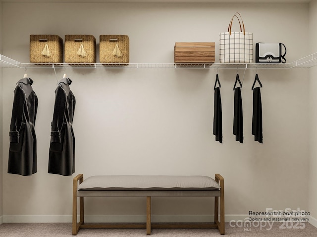 2107 Columbidae Ln, Gastonia, NC 28052 - mudroom featuring baseboards and carpet floors