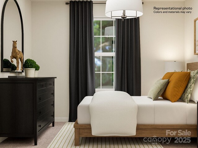 2107 Columbidae Ln, Gastonia, NC 28052 - bedroom with carpet floors and baseboards