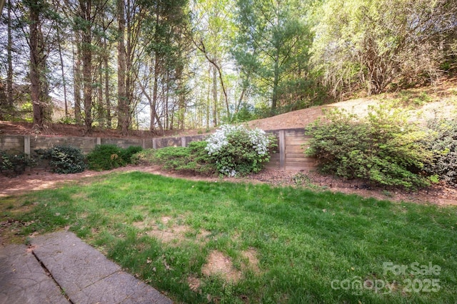 206 Carrington Pl, Arden, NC 28704 - view of yard featuring fence