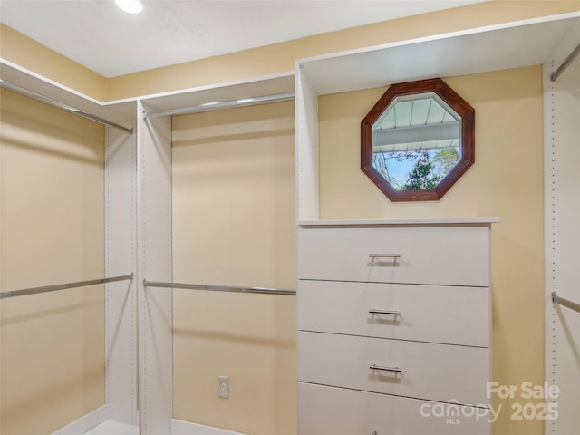view of spacious closet
