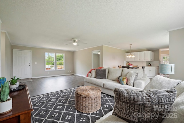 living area with ornamental molding, a textured ceiling, and wood finished floors