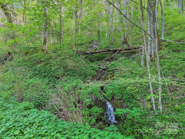 0 Star Crest Dr, Waynesville, NC 28785