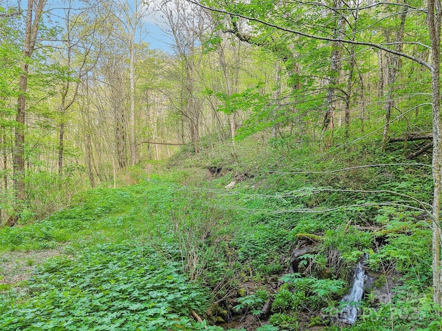 0 Star Crest Dr, Waynesville, NC 28785