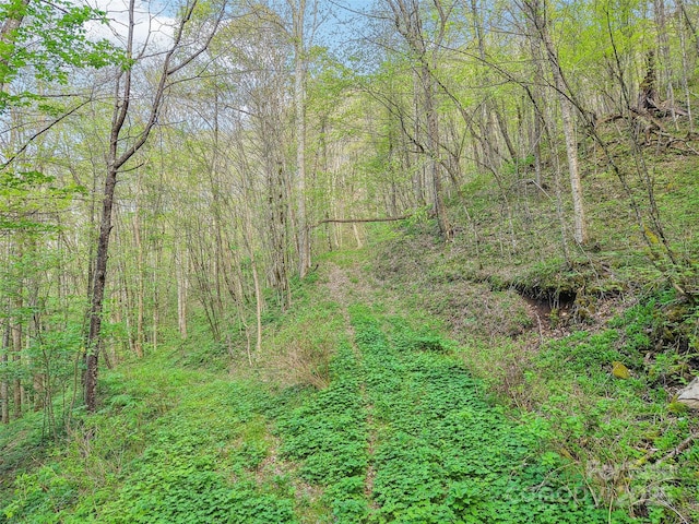 0 Star Crest Dr, Waynesville, NC 28785
