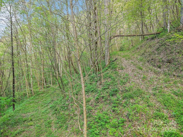 0 Star Crest Dr, Waynesville, NC 28785
