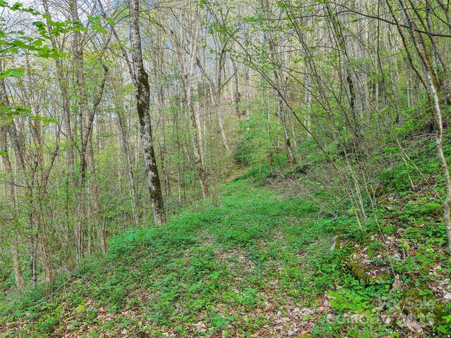 0 Star Crest Dr, Waynesville, NC 28785