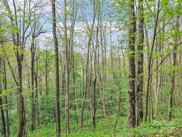 0 Star Crest Dr, Waynesville, NC 28785