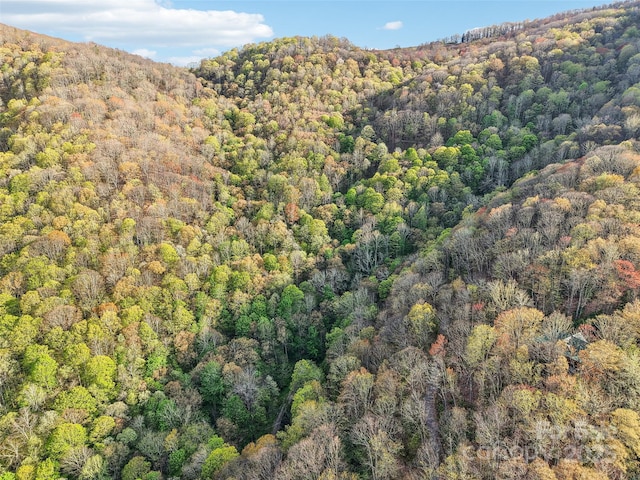 0 Star Crest Dr, Waynesville, NC 28785