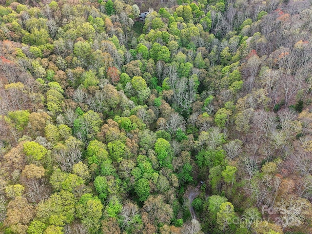 0 Star Crest Dr, Waynesville, NC 28785