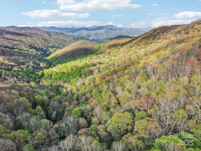 0 Star Crest Dr, Waynesville, NC 28785
