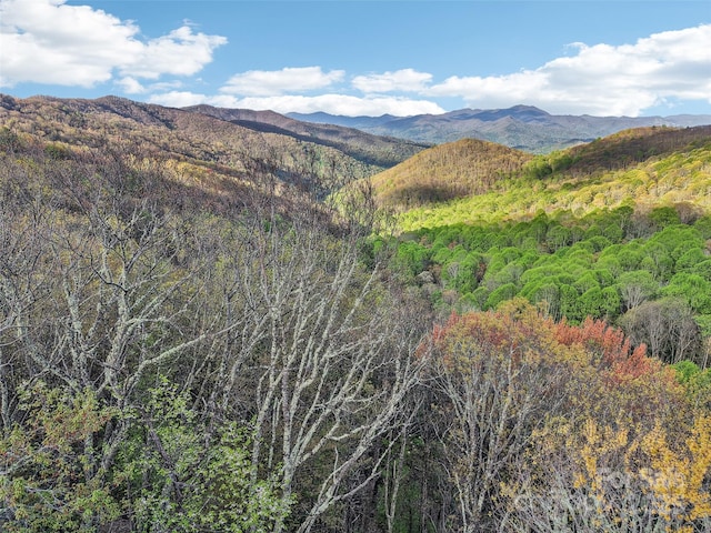 0 Star Crest Dr, Waynesville, NC 28785