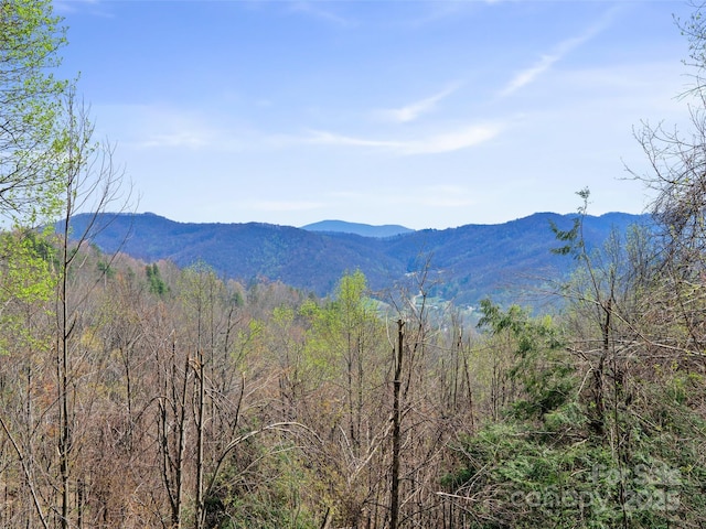 property view of mountains featuring a view of trees