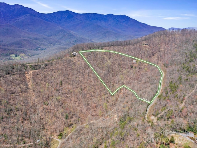 mountain view