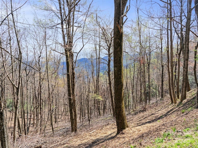 view of landscape with a view of trees