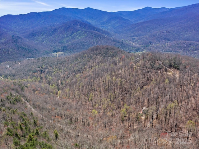 view of mountain feature with a forest view