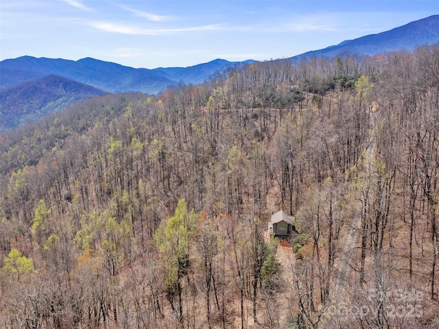view of mountain feature with a forest view