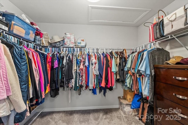 walk in closet featuring attic access and carpet floors