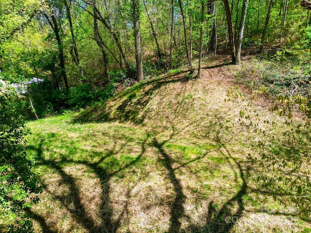 165 Maple St, Sylva, NC 28779