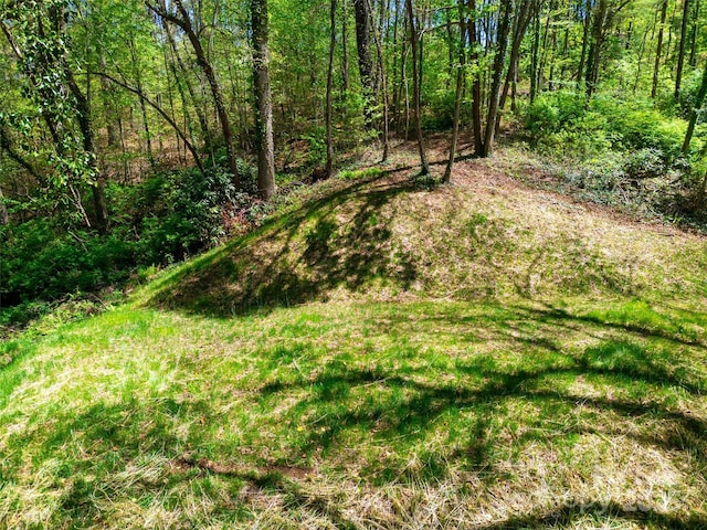 165 Maple St, Sylva, NC 28779