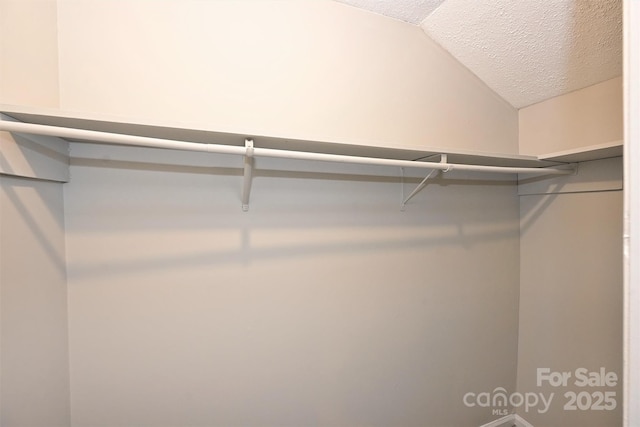 1931 Mereview Ct Unit 46, Charlotte, NC 28210 - spacious closet with vaulted ceiling
