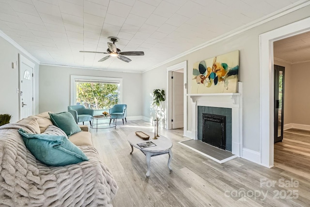 828 Richard Ave, Kannapolis, NC 28081 - living area featuring light wood finished floors, a ceiling fan, ornamental molding, baseboards, and a fireplace