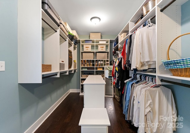 walk in closet featuring dark wood-style flooring