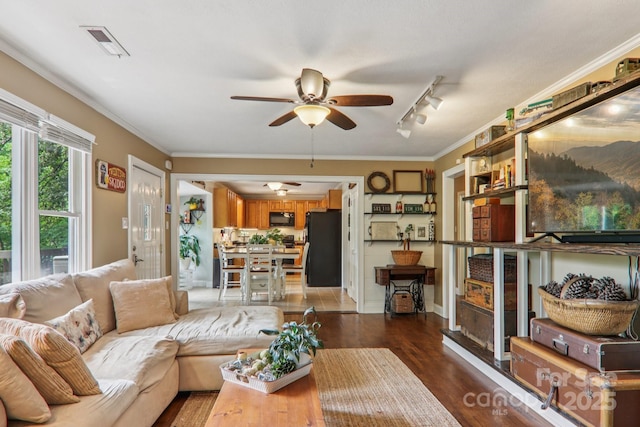 416 S Cherokee Ave, Black Mountain, NC 28711 - living area with a ceiling fan, wood finished floors, ornamental molding, and rail lighting